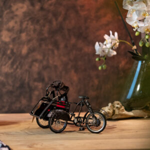 bicykel s bričkou bytová dekorácia
