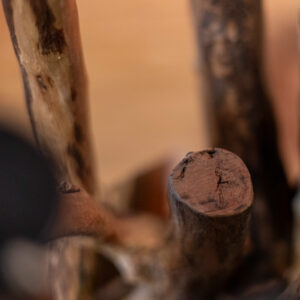 koreňový svietnik na 7 sviečok detail