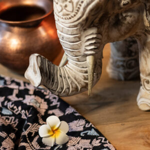 vyrezávaný slon dekorácia tropické drevo