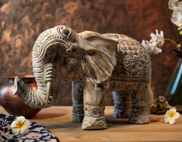 vyrezávaný slon z tropického dreva interiérový doplnok tropické drevo